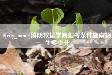 钦州消防救援学院报考条件湖南招生多少分