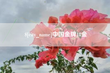 钦州中国金牌18金