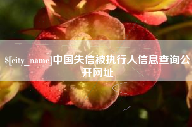 钦州中国失信被执行人信息查询公开网址