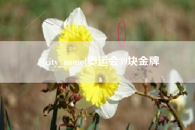 钦州奥运会39块金牌