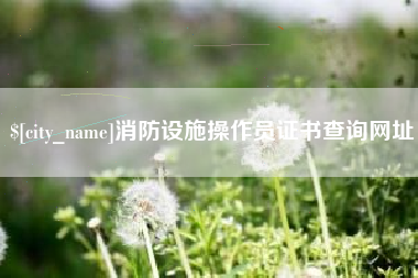 钦州消防设施操作员证书查询网址