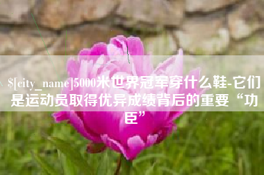 钦州5000米世界冠军穿什么鞋-它们是运动员取得优异成绩背后的重要“功臣”