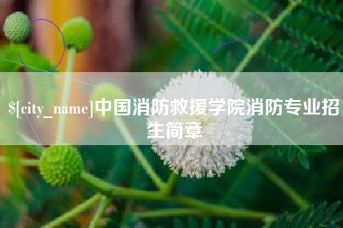 钦州中国消防救援学院消防专业招生简章