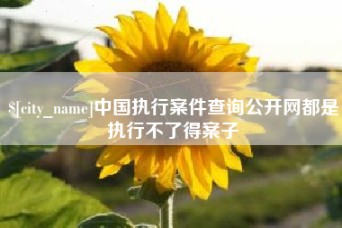 钦州中国执行案件查询公开网都是执行不了得案子