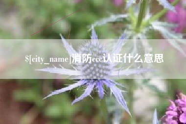 钦州消防ccc认证什么意思