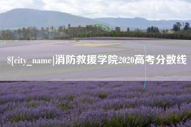 钦州消防救援学院2020高考分数线