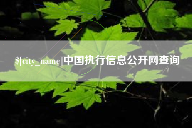 钦州中国执行信息公开网查询