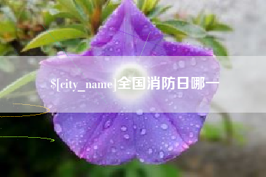 钦州全国消防日哪一