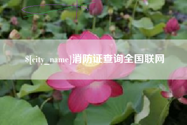 钦州消防证查询全国联网