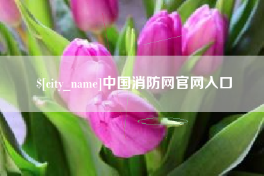 钦州中国消防网官网入口