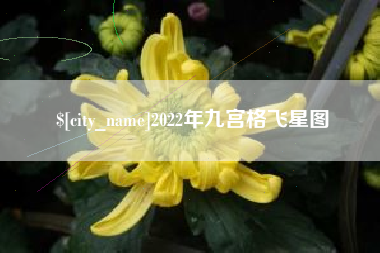钦州2022年九宫格飞星图