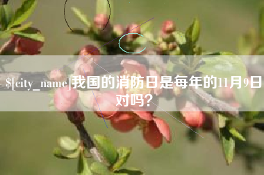 钦州我国的消防日是每年的11月9日对吗？