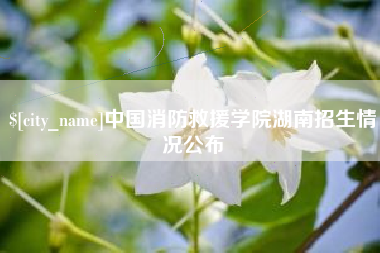 钦州中国消防救援学院湖南招生情况公布