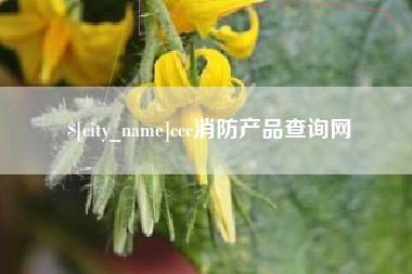 钦州ccc消防产品查询网