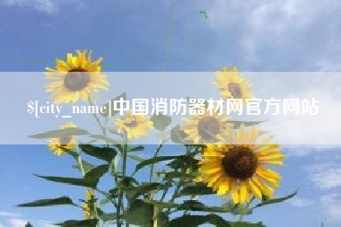 钦州中国消防器材网官方网站