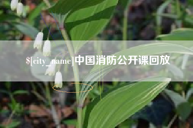 钦州中国消防公开课回放