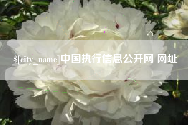 钦州中国执行信息公开网 网址