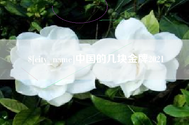 钦州中国的几块金牌2021