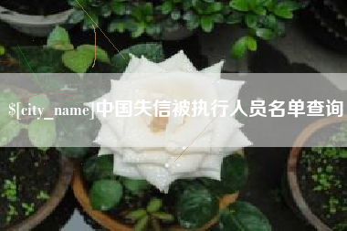 钦州中国失信被执行人员名单查询