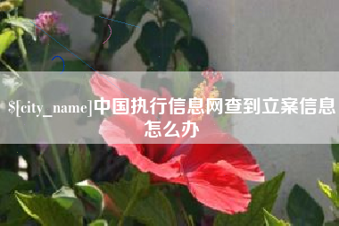 钦州中国执行信息网查到立案信息怎么办