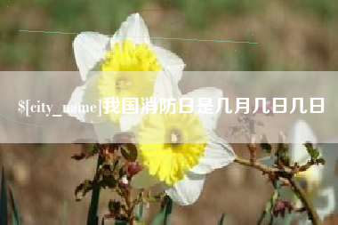 钦州我国消防日是几月几日几日