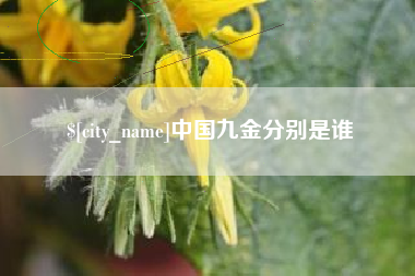 钦州中国九金分别是谁