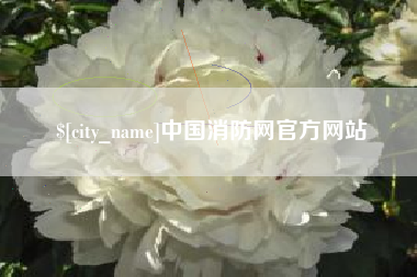 钦州中国消防网官方网站