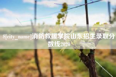 钦州消防救援学院山东招生录取分数线2020