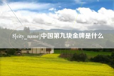 钦州中国第九块金牌是什么