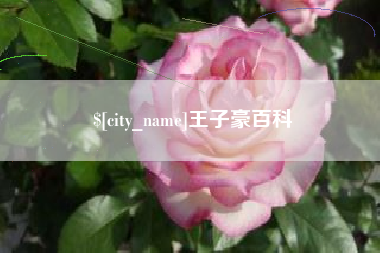 钦州王子豪百科