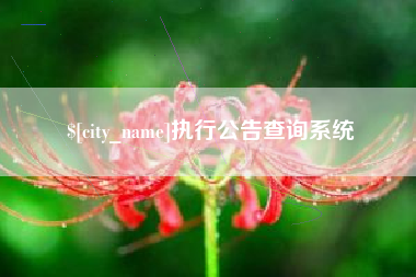 钦州执行公告查询系统