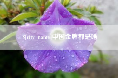 钦州中国金牌都是啥