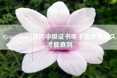 钦州消防中级证书电子版查询多久才能查到