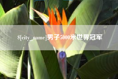 钦州男子5000米世界冠军