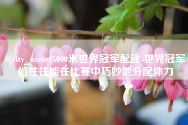 钦州5000米世界冠军配速-世界冠军们往往能在比赛中巧妙地分配体力