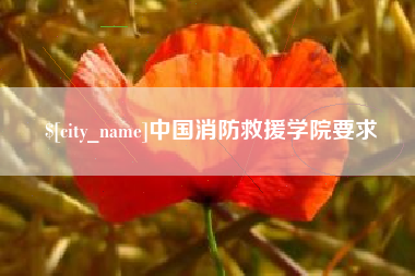 钦州中国消防救援学院要求