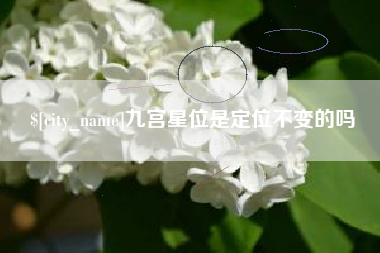 钦州九宫星位是定位不变的吗