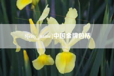 钦州中国金牌包括