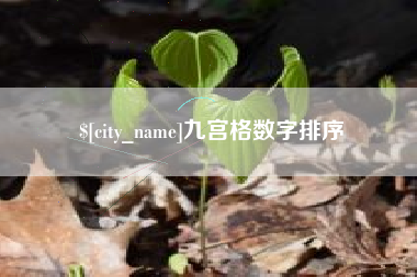 钦州九宫格数字排序