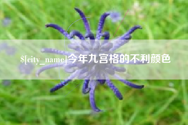 钦州今年九宫格的不利颜色