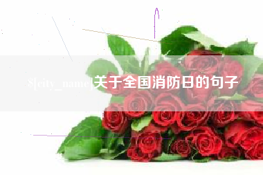 钦州关于全国消防日的句子