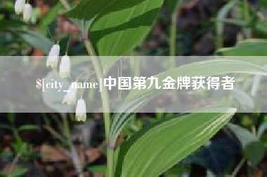 钦州中国第九金牌获得者