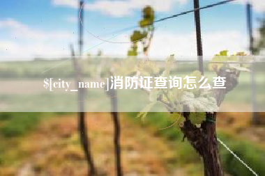 钦州消防证查询怎么查