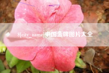 钦州中国金牌图片大全