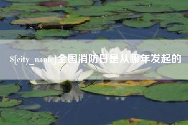 钦州全国消防日是从哪年发起的