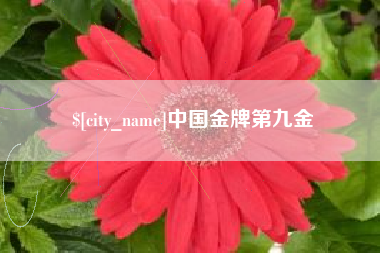 钦州中国金牌第九金