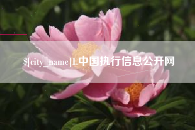 钦州1.中国执行信息公开网