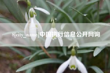 钦州中国执行信息公开网询