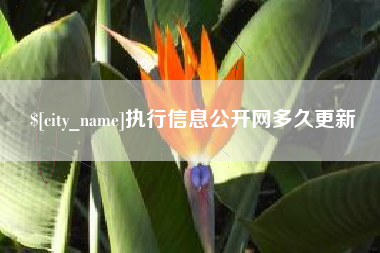 钦州执行信息公开网多久更新