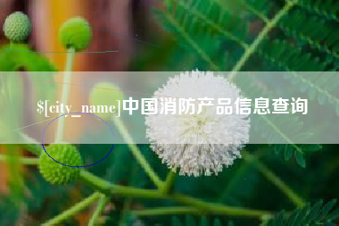 钦州中国消防产品信息查询